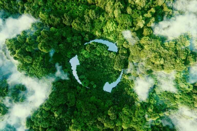 Abstract icon representing ecological call recycle reuse form pond with recycling symbol middle beautiful untouched jungle 3d rendering